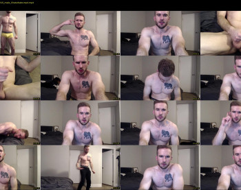 mr_lionn83