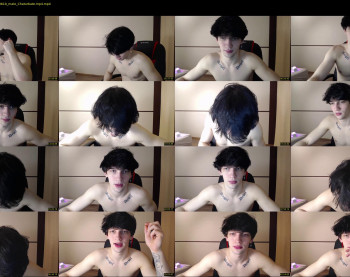 teddy_mode