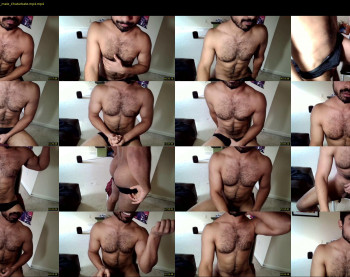toyboyq