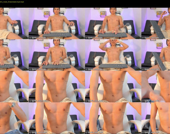 dante_shell