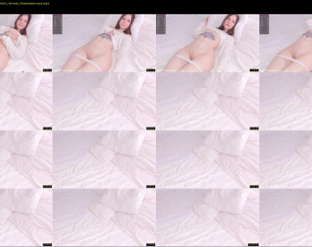 elizabeth_cat