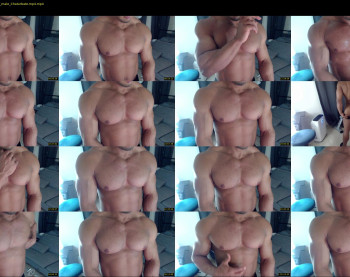 flex_x_x