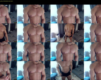 flex_x_x