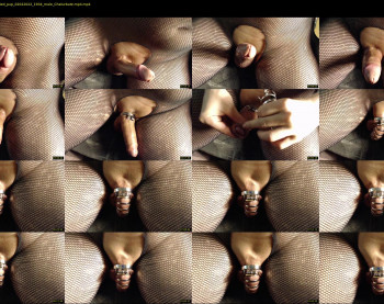 lady_nymphs_most_devoted_pup