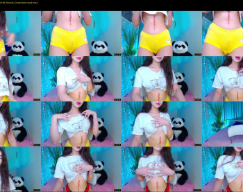 little_panda_