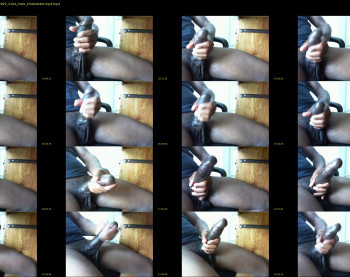 smallblackdee