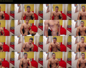 teddyfit19cm
