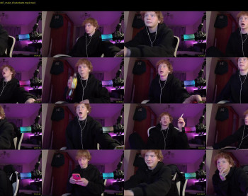 alvin__main