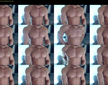 flex_x_x
