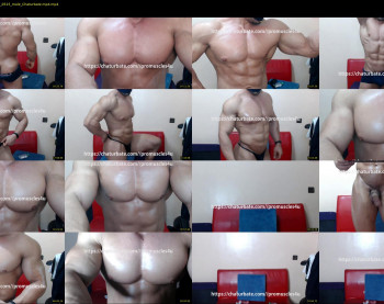 promuscles4u
