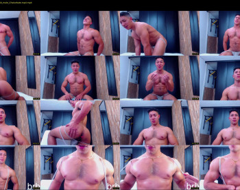 dixon_ray