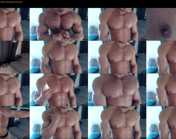 flex_x_x