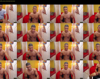 teddyfit19cm