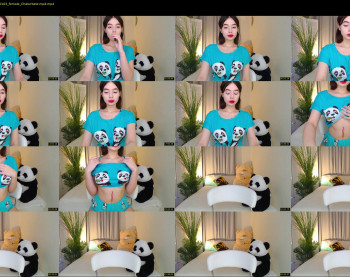 little_panda_