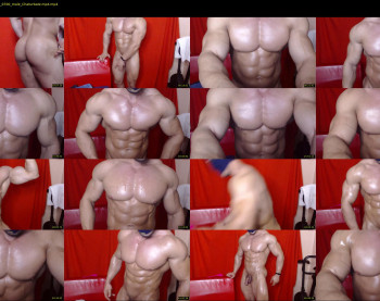 promuscles4u