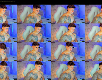 austin_grey2