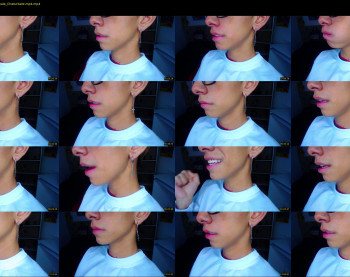 ash_v