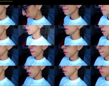 ash_v