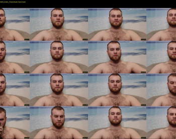 damienbush