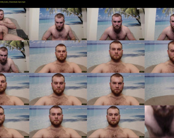 damienbush