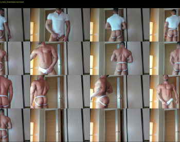_adam19