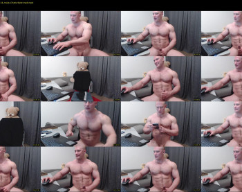 andry_dick