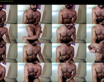 toyboyq