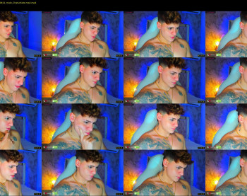 austin_grey2