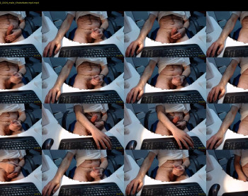 mralptheviking