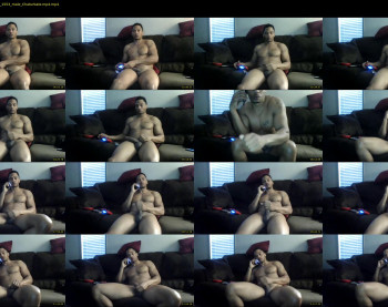 sharkdickwilly