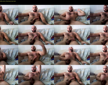 wolfdudefun