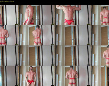 _adam19