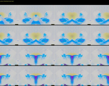 aural69