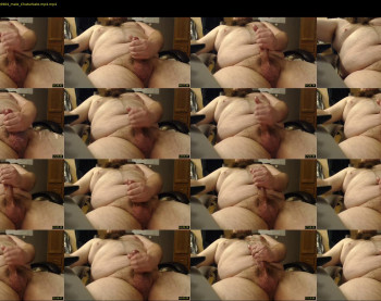 bichubbydick