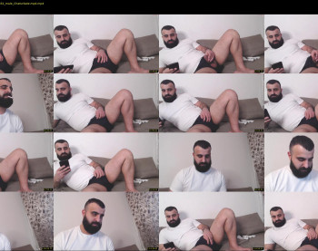 djefri_bear