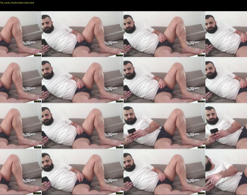 djefri_bear