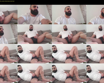 djefri_bear