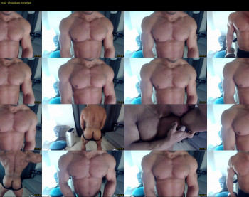 flex_x_x