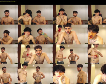 teddy_mode