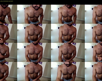 toyboyq