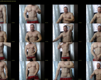 alvin_hunk