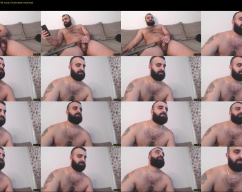 djefri_bear