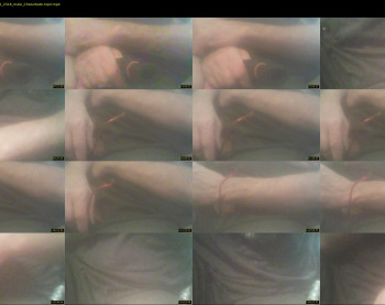 hornysteven88