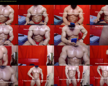 promuscles4u