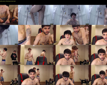 teddy_mode