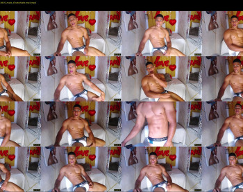 teddyfit19cm