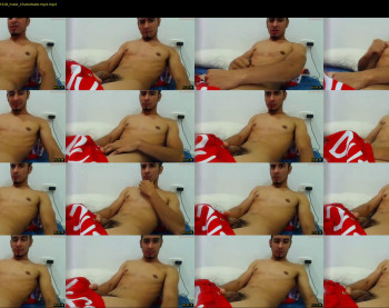 ffredhihardd