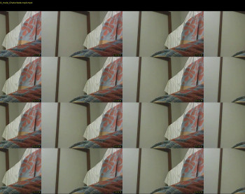 shaynex1