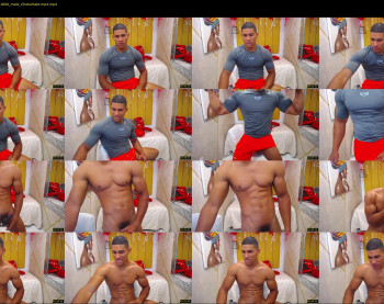 teddyfit19cm