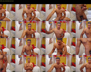 teddyfit19cm